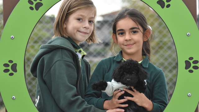 Sakarya'da açılan Can Dostlar Parkı, evcil hayvanları ağırladı