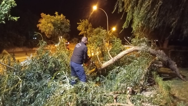 Bursa'da lodos hayatı olumsuz etkiledi; ağaçlar devrildi, çatılar uçtu (4)