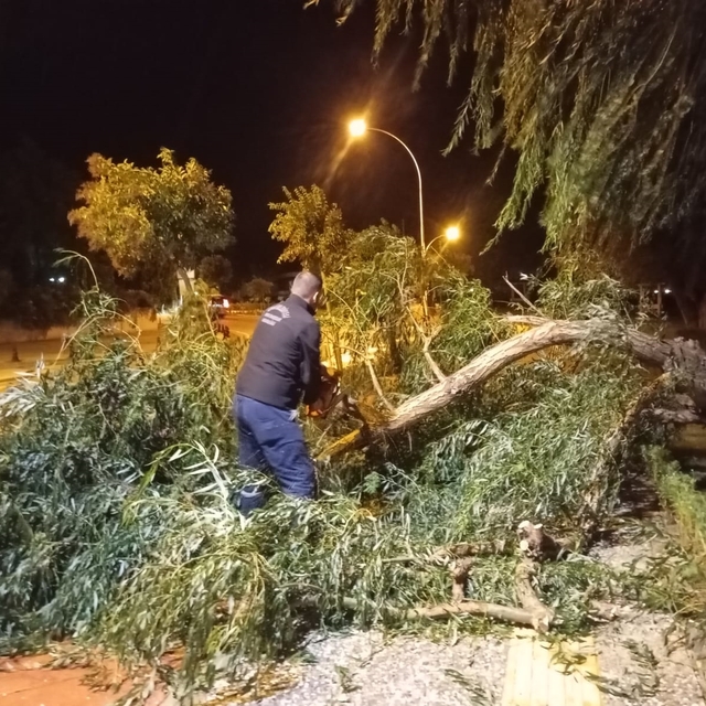 Bursa'da lodos hayatı olumsuz etkiledi; ağaçlar devrildi, çatılar uçtu (4)