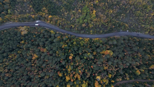 Bartın-Karabük yolunda sonbahar güzelliği