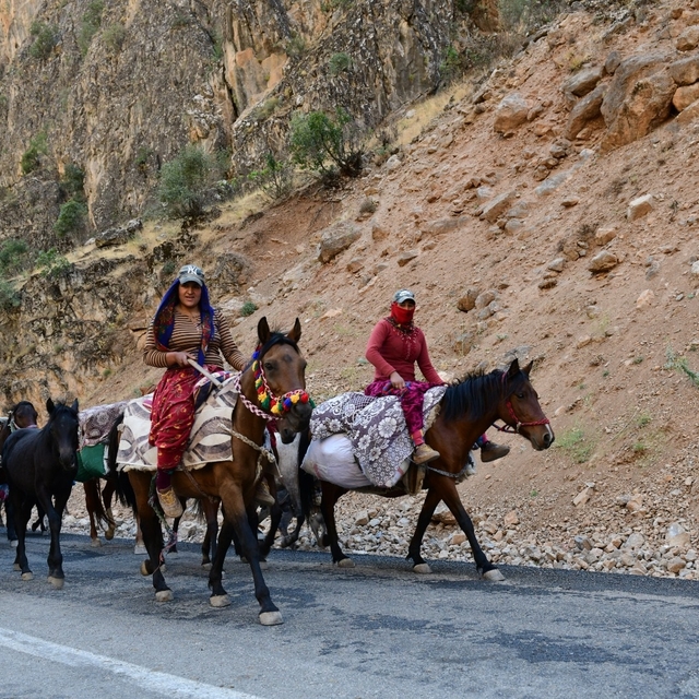 Van'da göçerlerin zorlu yolculuğu başladı