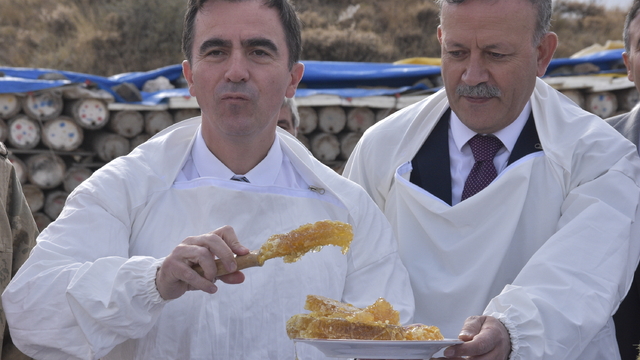 Bitlis Valisi Ahmet Karakaya, kara kovan bal hasadı yaptı
