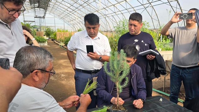Muğla'da Özbek ormancılardan teknik inceleme