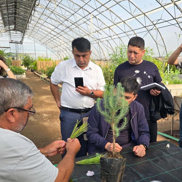 Muğla'da Özbek ormancılardan teknik inceleme