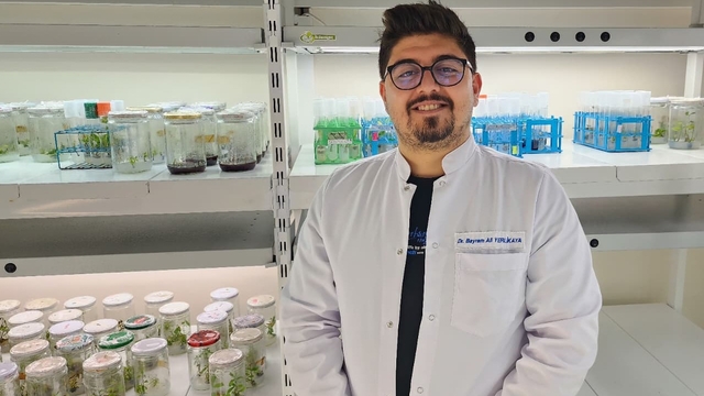 OMÜ'nün "domates" projesi TÜBİTAK'tan destek gördü