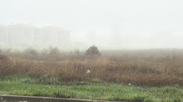 Tekirdağ'dan kısa kısa