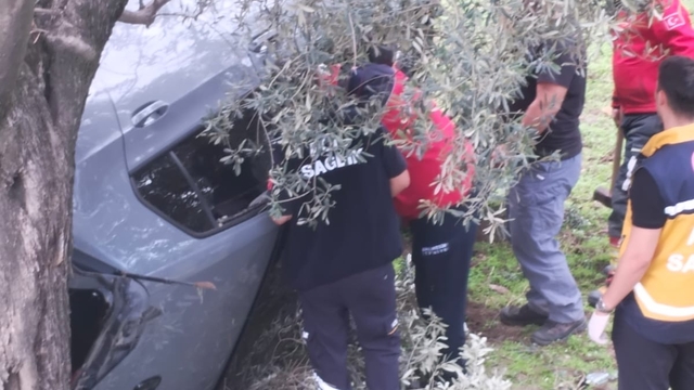 Balıkesir'de zeytinliğe devrilen otomobildeki 2 kişi yaralandı