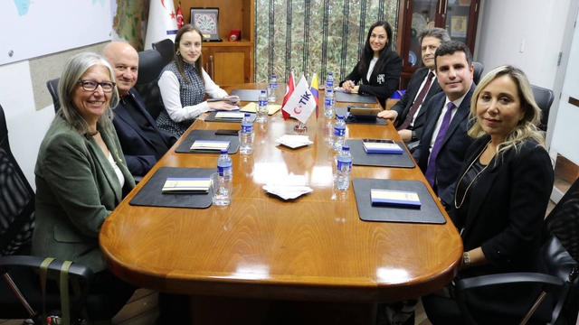 AK Parti'li Çokal, AND Parlamentosu'nda Türkiye'nin diplomasideki rolünü anlattı