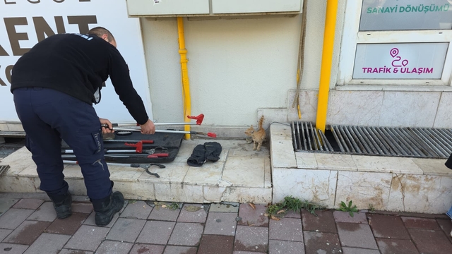 İnegöl'de mahsur kalan kedi yavrusunu itfaiye kurtardı