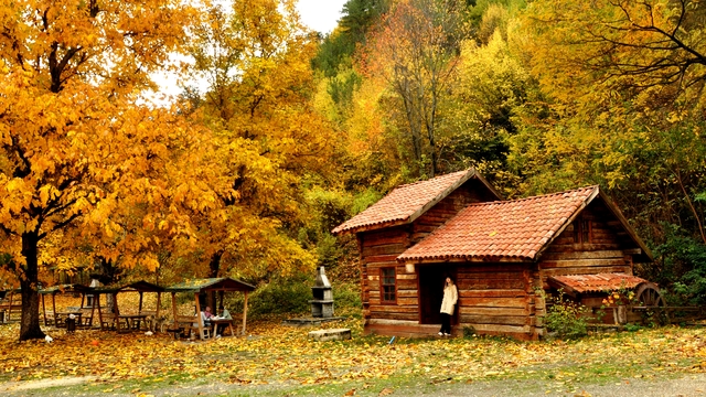 Kastamonu ormanları sonbahar renklerine büründü