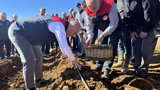 Elazığ'da çilek üretiminin artırılması amacıyla 20 bin fide toprakla buluşturuldu