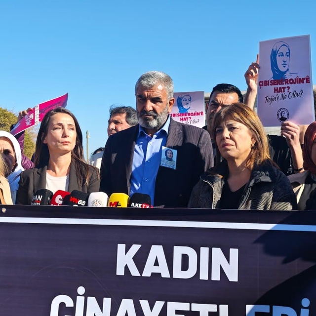 DEM Parti'li Hatimoğulları: Rojin'in başına gelenlerin ortaya çıkarılması i...