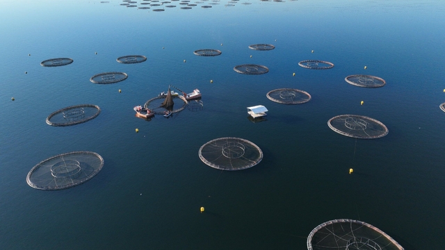 Bakan Yumaklı: Kovan varlığında 3'üncü sırada, bal üretiminde 2'nci sıradayız (3)