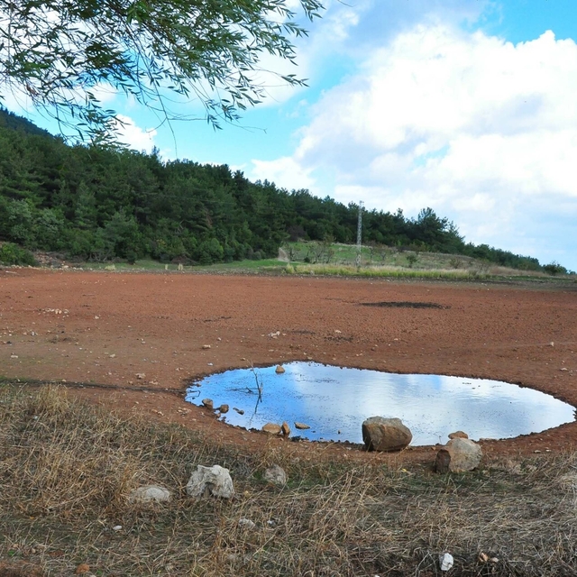 Geçen yıl tankerlerle taşınan su ile kurtarılan Sülüklü Göl, bu yıl tamamen...