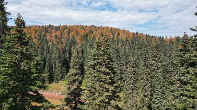 Bartın ve Karabük yaylalarında sonbahar güzelliği