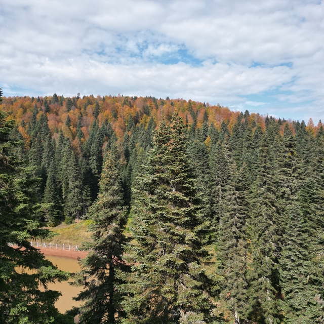Bartın ve Karabük yaylalarında sonbahar güzelliği