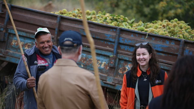 Genç mimar ile inşaat mühendisi babası "meyve ormanı"ndan 20 ülkeye ihracat yapıyor