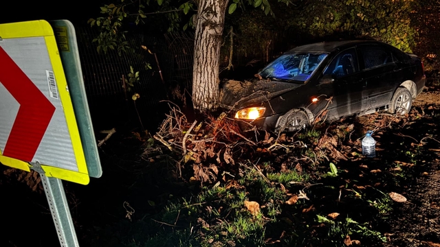 Bursa'da otomobil ağaca çarptı: 3 yaralı