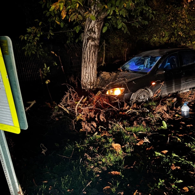 Bursa'da otomobil ağaca çarptı: 3 yaralı