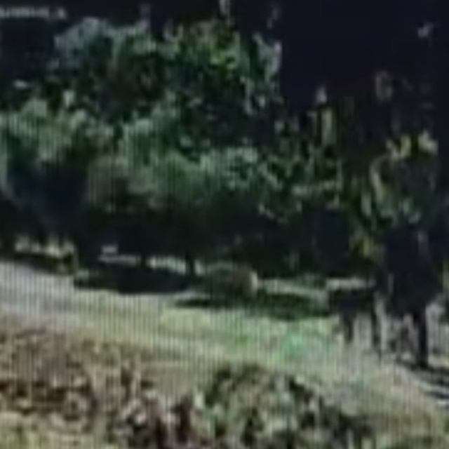 Evin bahçesindeki köpeği çaldı; o anlar kamerada