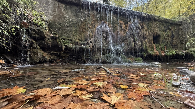 Tekirdağ'da sonbahar renklerine bürünen ormanlar doğa tutkunlarını bekliyor