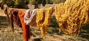 Vanlı kadınlar, iplere doğada topladıkları bitkilerle renk veriyor
