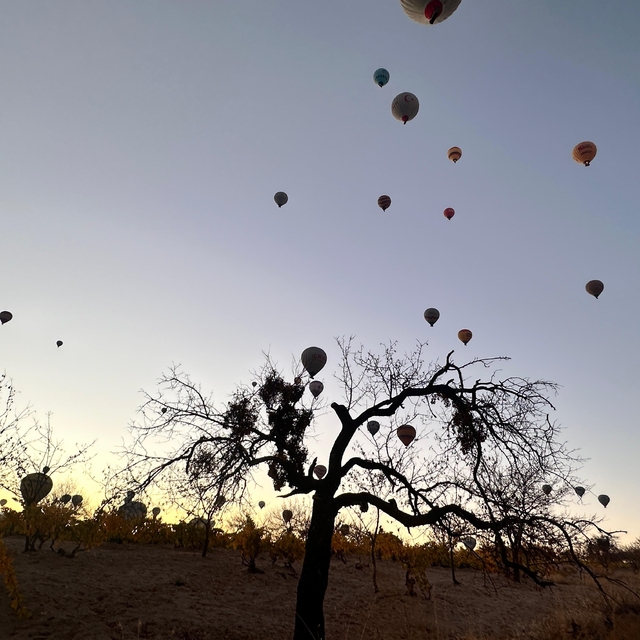 Kapadokya'da sonbahar güzelliği