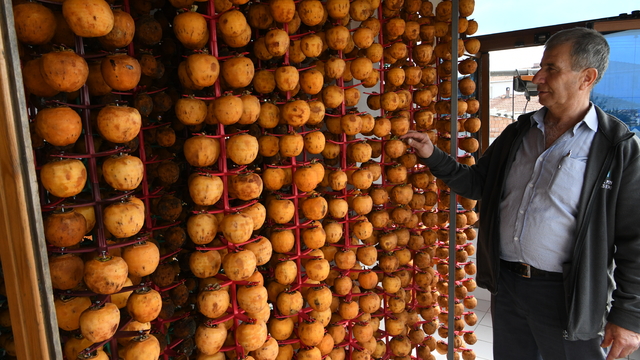Trabzon hurmasını kendi tasarladığı aletlerle kurutup gelirini katladı