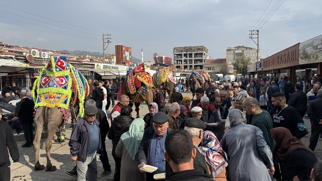 Çan'da yarışacak develere havut giydirildi