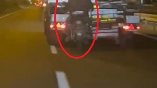 Hareket halindeki TIR'dan koyun hırsızlığı kamerada