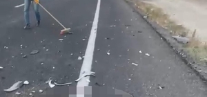 Nevşehir'de otomobilin çarptığı 2 at öldü