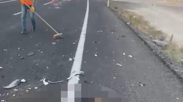 Nevşehir'de otomobilin çarptığı 2 at öldü