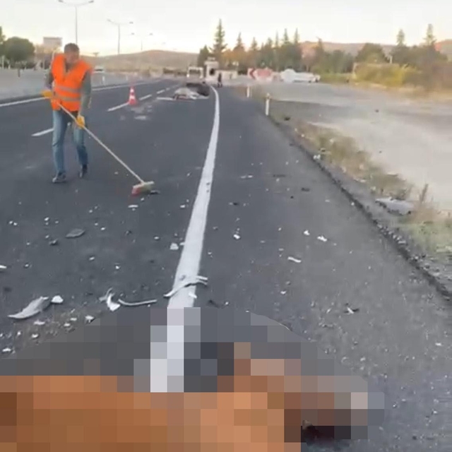 Nevşehir'de otomobilin çarptığı 2 at öldü