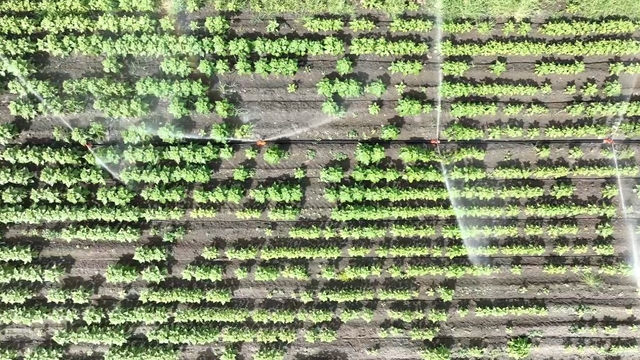 Tarımda su kıtlığının önüne geçebilmenin en iyi yolu; modern sulama sistemleri