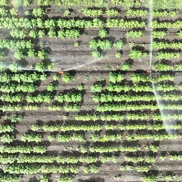 Tarımda su kıtlığının önüne geçebilmenin en iyi yolu; modern sulama sisteml...