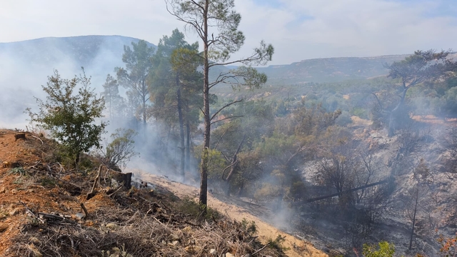 Mersin'de temizlik için ateş yakılan bahçede çıkan yangında 1 kişi yaşamını yitirdi