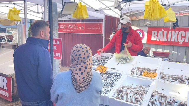 Hamsinin fiyatı gelen balık miktarına göre değişiyor
