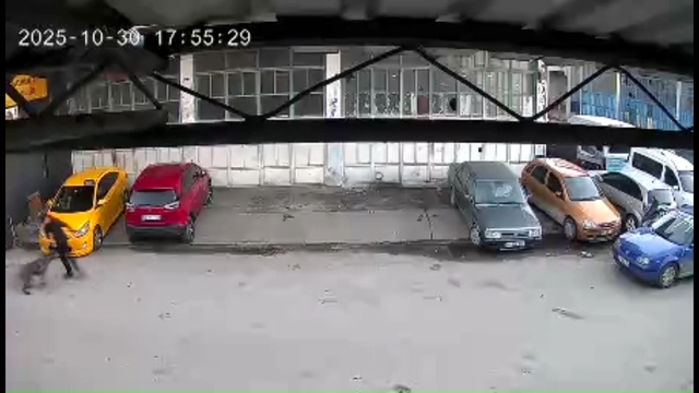 Köpeğin saldırısına uğrayan çocuğu babası kurtardı; o anlar kamerada