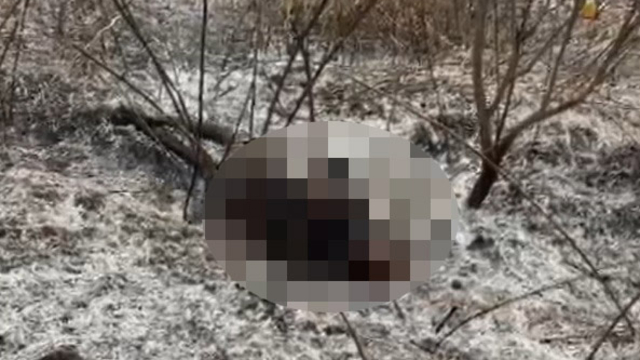 Temizlik için ateş yaktığı bahçede alevlerin arasında kalıp öldü