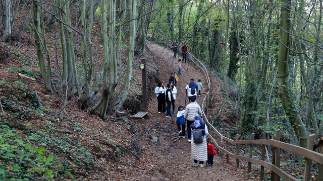 Canik Ekoturizm Alanı ve Doğa Yürüyüş Parkuru doğaseverleri ağırlıyor