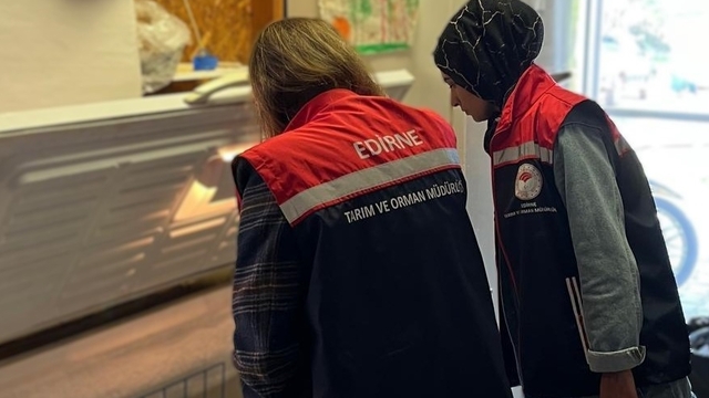 Edirne'de gıda satışı yapan işletmeler denetlendi