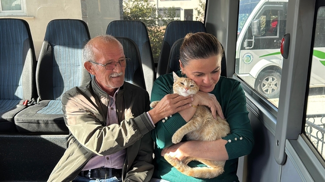 'Yolcu' isimli kedi, tedavi edildiği dolmuş durağının maskotu oldu