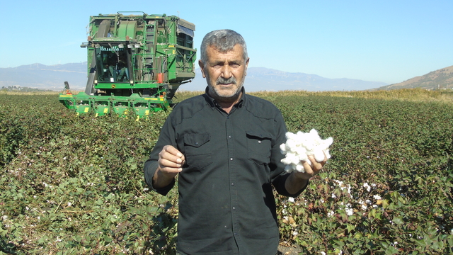 Gaziantep'te pamuk hasadı başladı