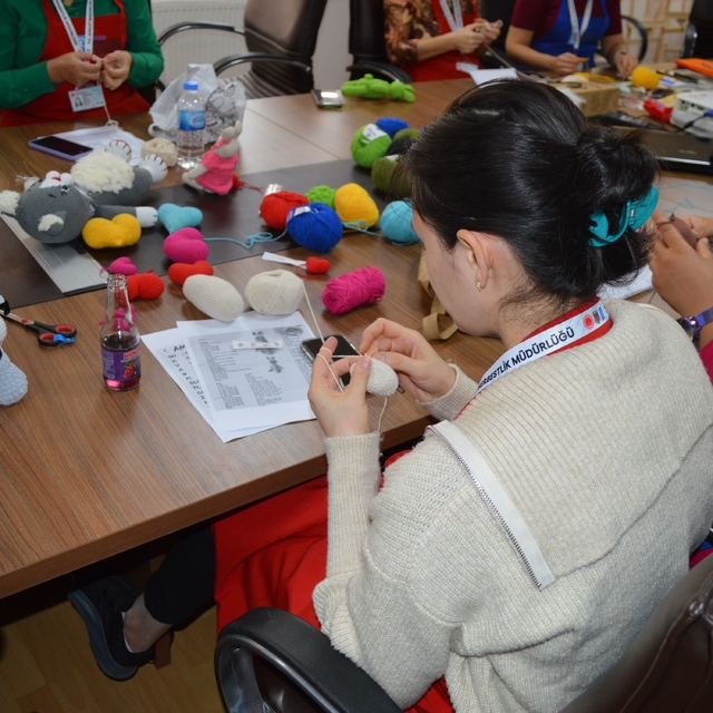 Ordu'da yükümlü kadınlar "Üreten Eller Projesi" ile geleceğini örüyor