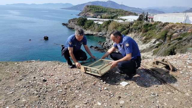 Mersin'de kafes içerisinde ele geçirilen 80 saka kuşu doğaya salındı