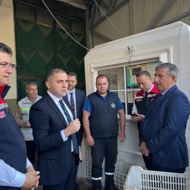 Tekirdağ'da zeytin hasadı etkinliği yapıldı