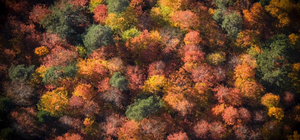 Bolu Mengen'de sonbahar güzelliği