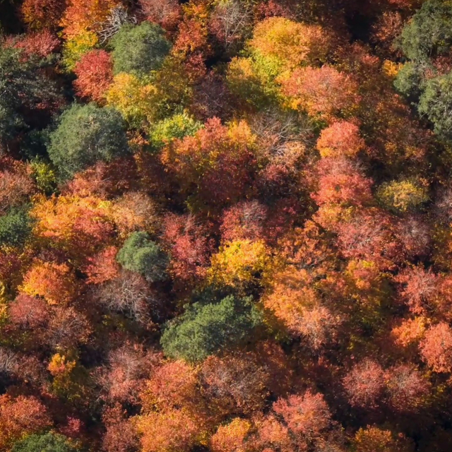 Bolu Mengen'de sonbahar güzelliği