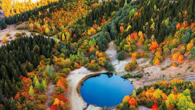 'Sakin şehir' Şavşat'ta sonbaharda renk cümbüşü