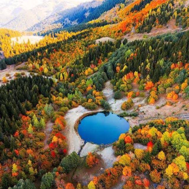 'Sakin şehir' Şavşat'ta sonbaharda renk cümbüşü